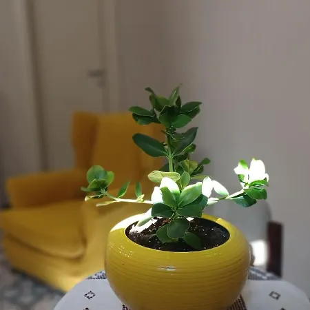 Apartamento Casa Giovannina