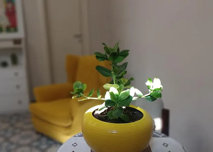 Apartamento Casa Giovannina
